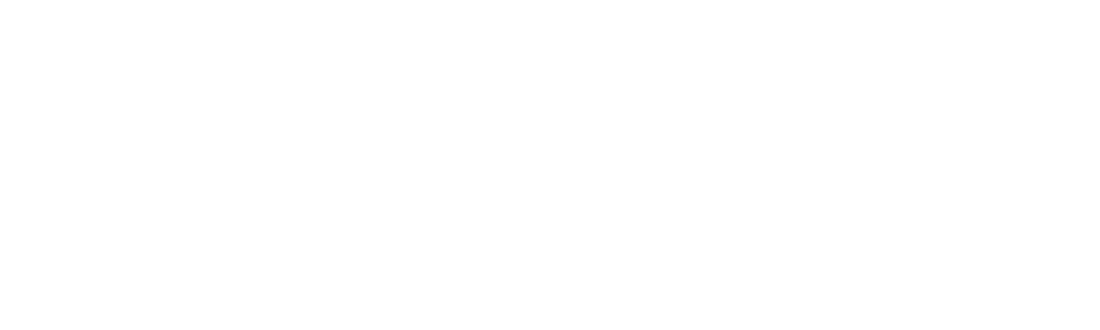 Sunrise Conversion Vans